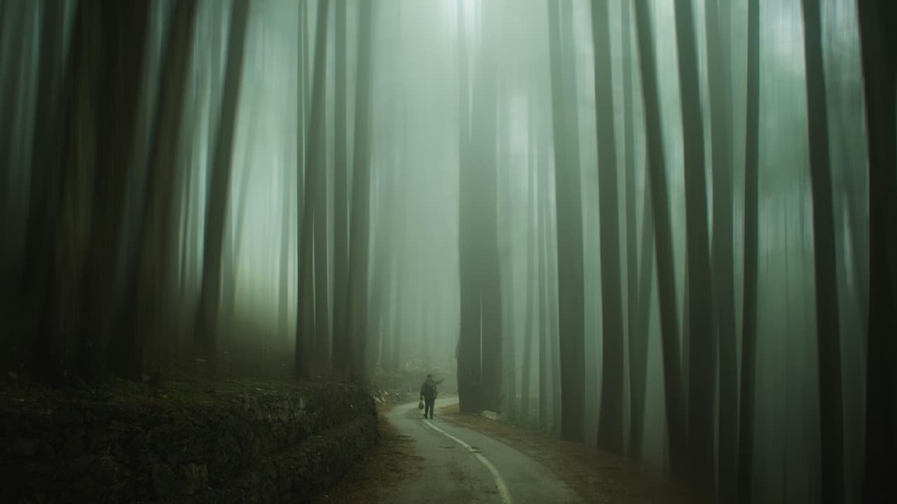 Welcome to the Age of Algorithmic Determinism