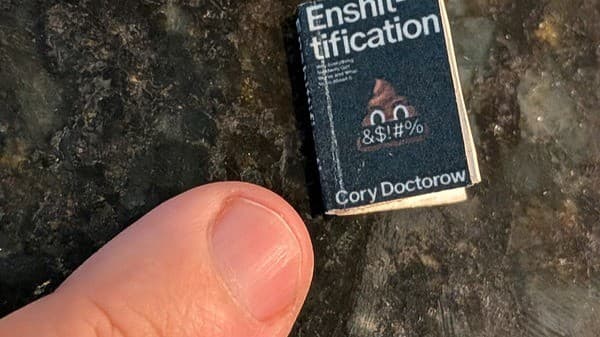 What Enshittification Means for NGOs and Not-for-Profits